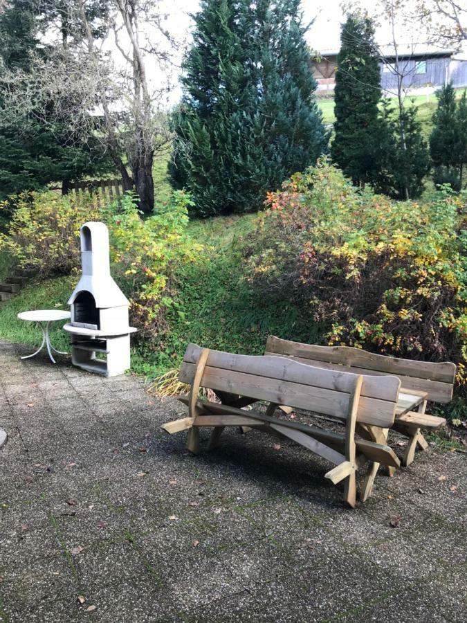 Residenz Schauinsland, Ganzes Appartement, Sauna Todtnau Eksteriør billede
