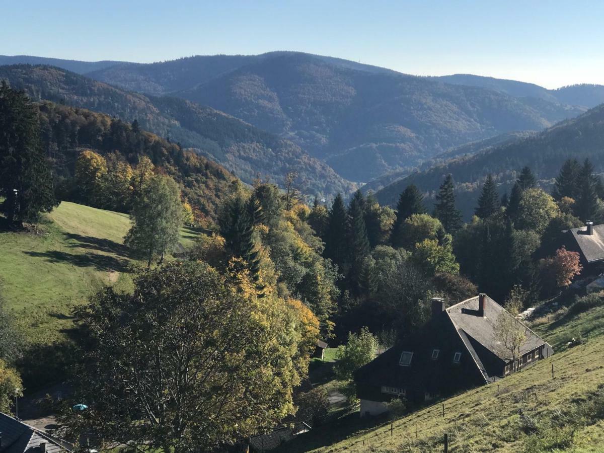 Residenz Schauinsland, Ganzes Appartement, Sauna Todtnau Eksteriør billede